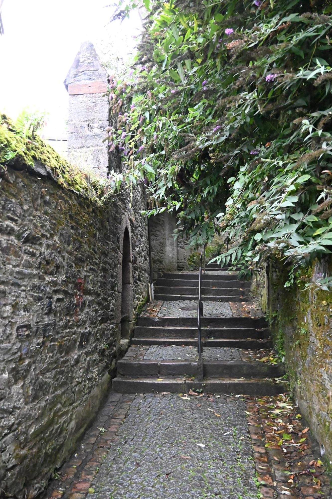 Appartamento Jardin Madeleine Morlaix Esterno foto
