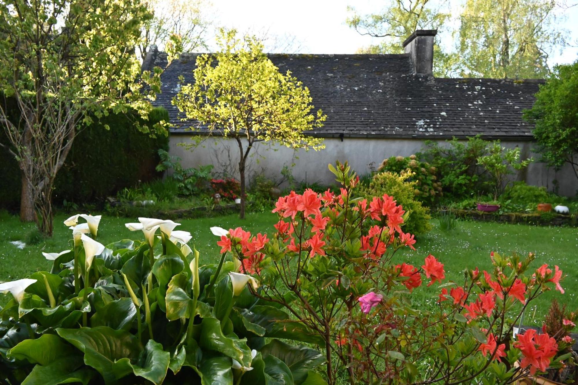 Appartamento Jardin Madeleine Morlaix Esterno foto